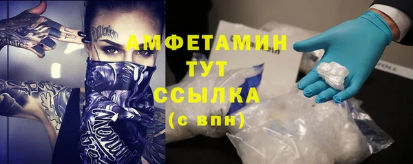 ПСИЛОЦИБИНОВЫЕ ГРИБЫ Абаза