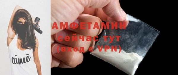 ПСИЛОЦИБИНОВЫЕ ГРИБЫ Абаза