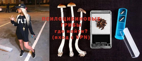 ПСИЛОЦИБИНОВЫЕ ГРИБЫ Абаза