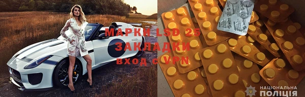 ПСИЛОЦИБИНОВЫЕ ГРИБЫ Абаза